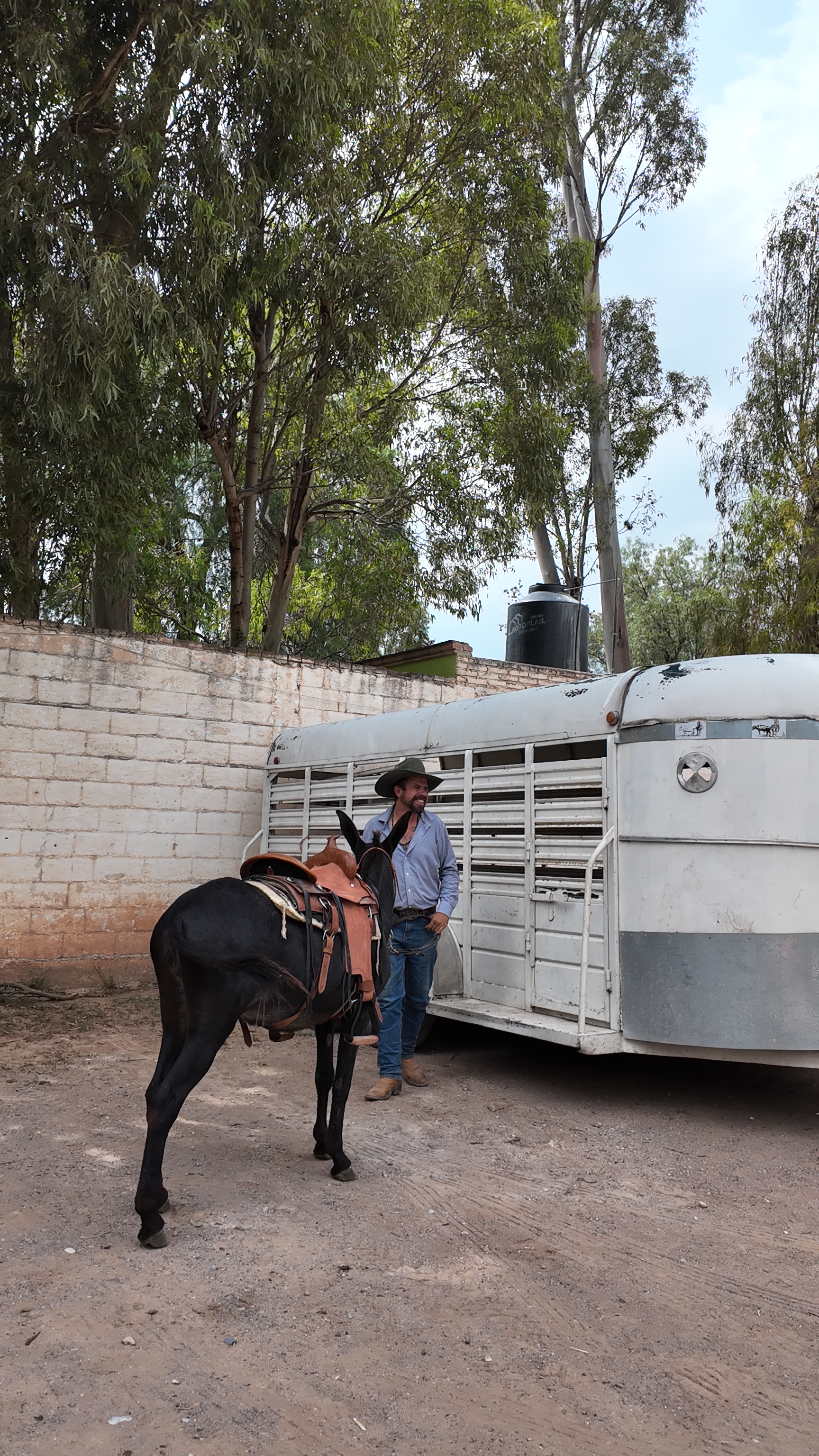 Cabalgata