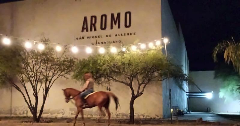 Jinete frente al muro de Aromo, San Miguel de Allende