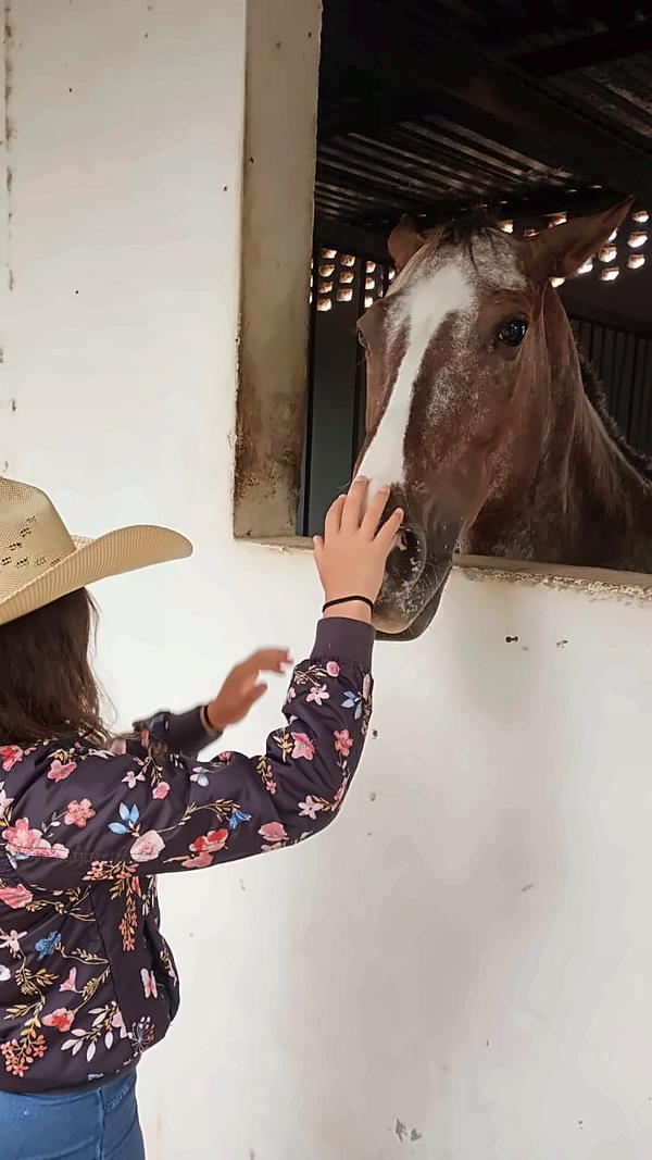 Alumna acariciando a un caballo en su caballeriza
