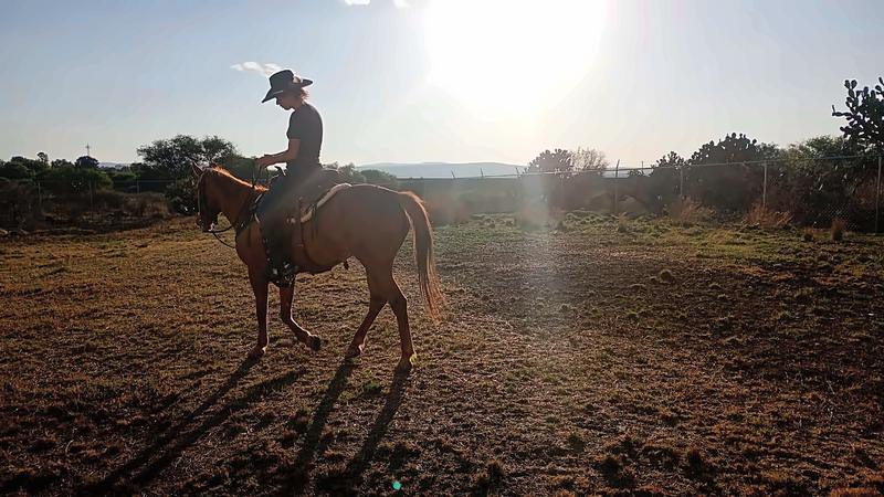 Jinete al paso al atardecer