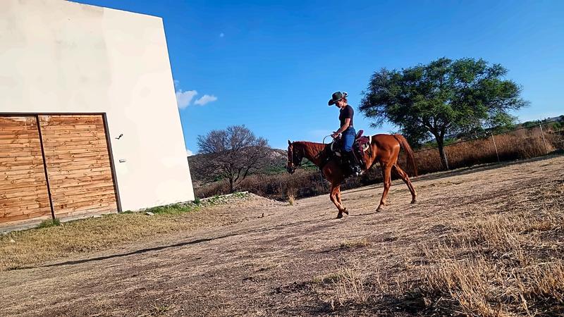 Jinete con sombrero montando en el campo