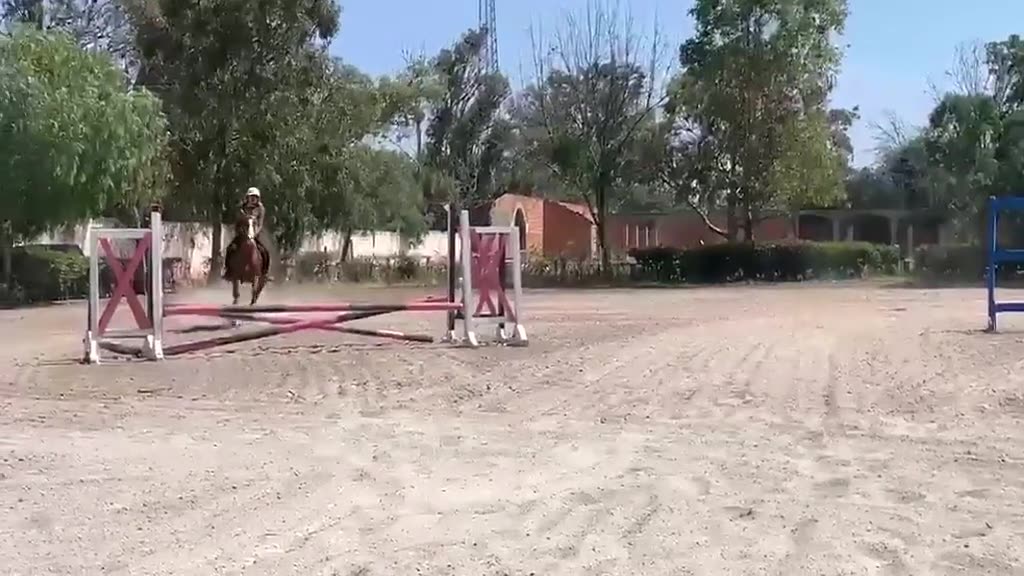 Recorrido de salto